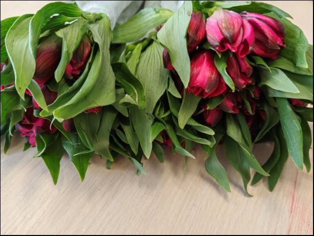     Фото: Уральское межрегиональное управление Россельхознадзора