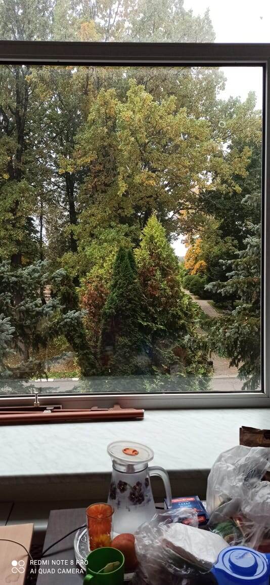 Вид из окна