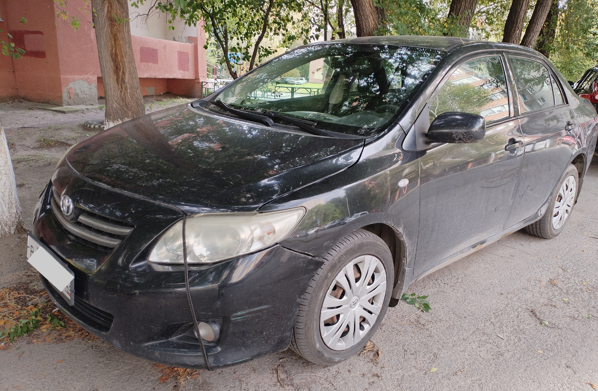 Моя ласточка