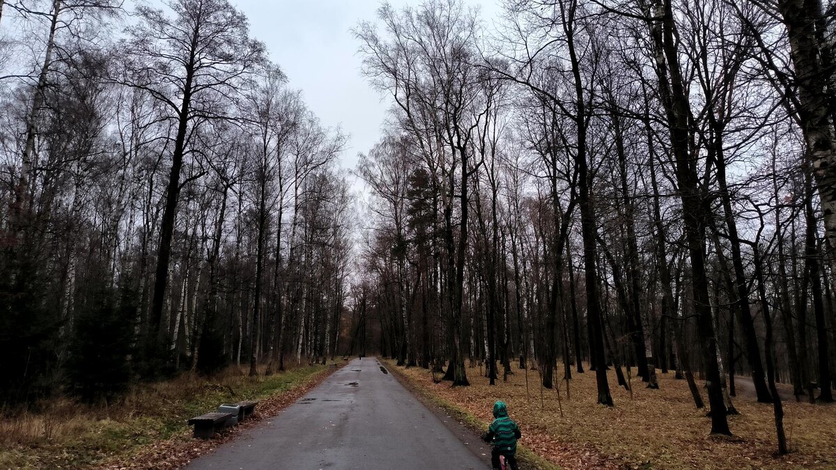    Фото: globallookpress/Maksim Konstantinov