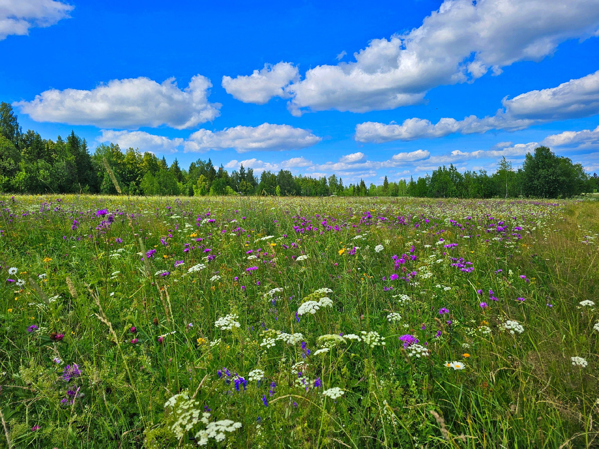 жили тогда дружно и ладно, несмотря на трудности