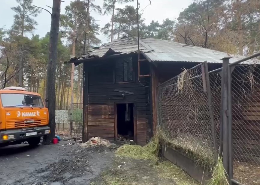    Фото: прокуратура НСО