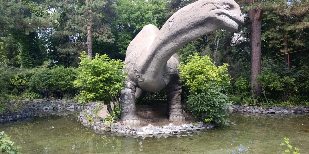 От зоосада до 65 га дикой природы в городе-миллионнике. Новосибирский зоопарк им. Шило