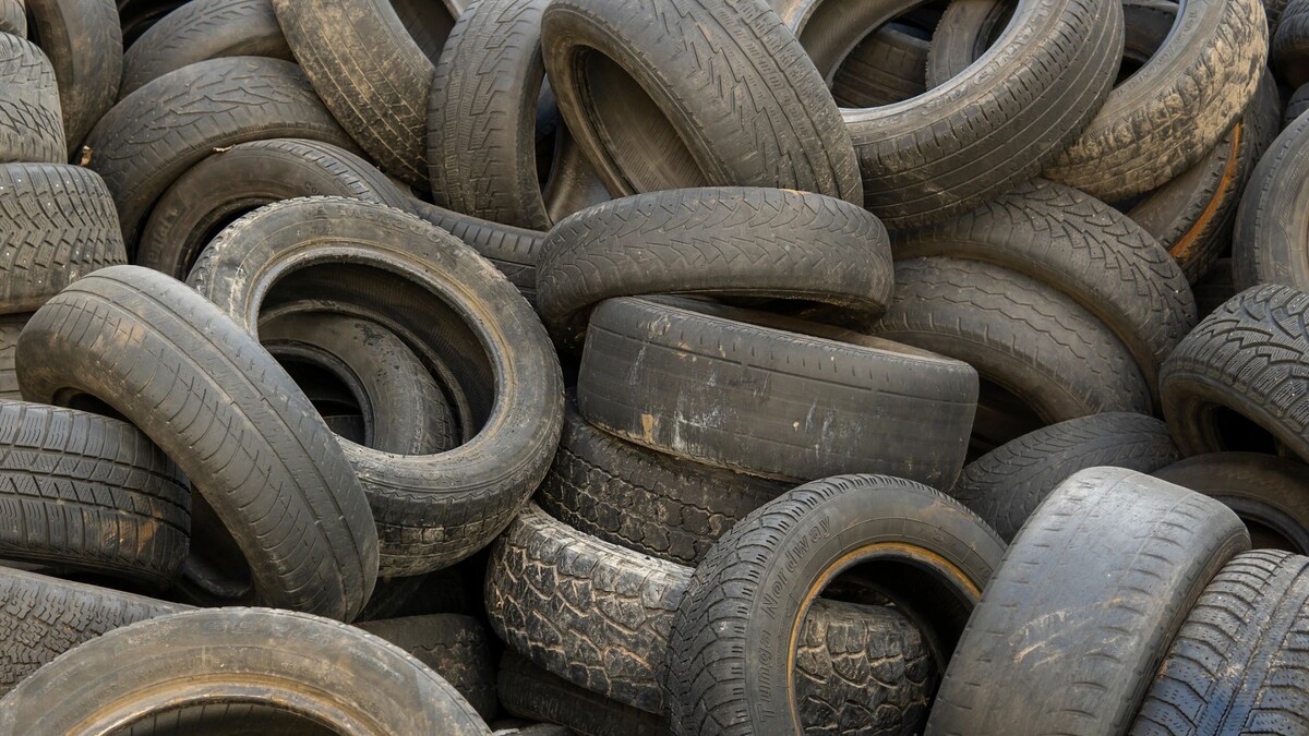    Фото: Sokolov Olleg / Shutterstock / Fotodom