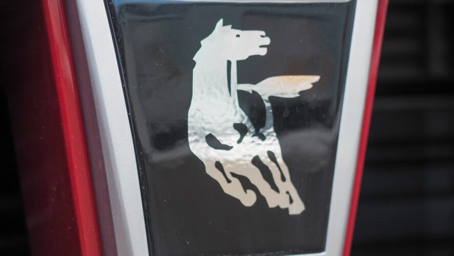    Фото: KazanFirst