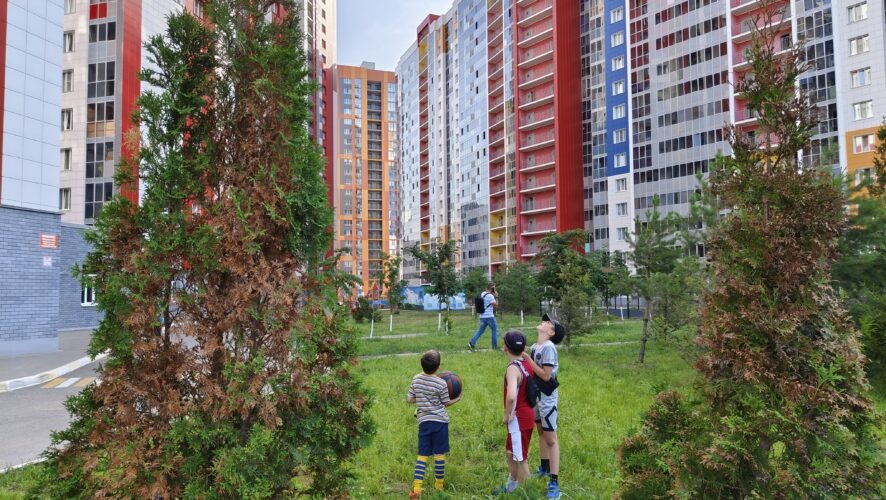    Фото: KazanFirst