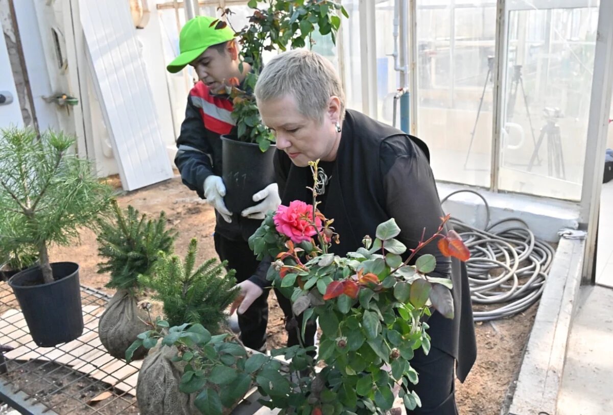    Хабаровск передал в Крым саженцы дальневосточных растений