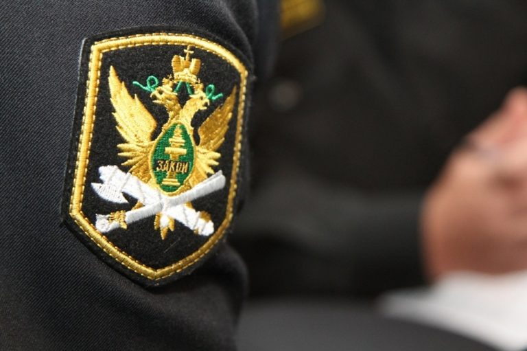    Оренбургские судебные приставы запустили круглосуточную «Полину» Антон Пичурин