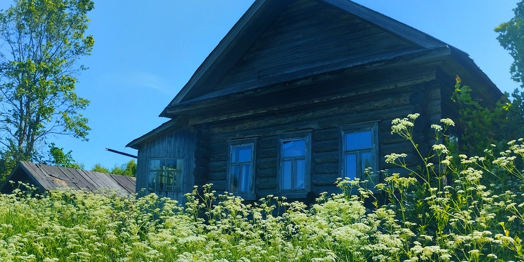 ЗДЕСЬ ЖИЛО БОЛЕЕ 1000 ЧЕЛОВЕК! ОГРОМНАЯ ЗАБРОШЕННАЯ ДЕРЕВНЯ БОЛЬШАЯ ЛЫЖНЯ. НАХОДКИ СТАРИНЫ.