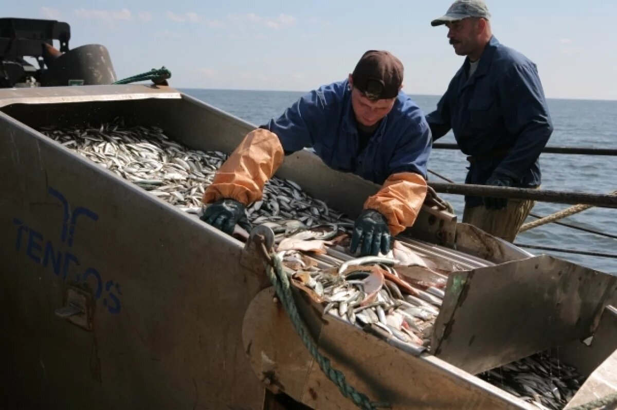    Суд разрешил «Востоку-1» выплатить зарплаты и оплатить стоянку судов
