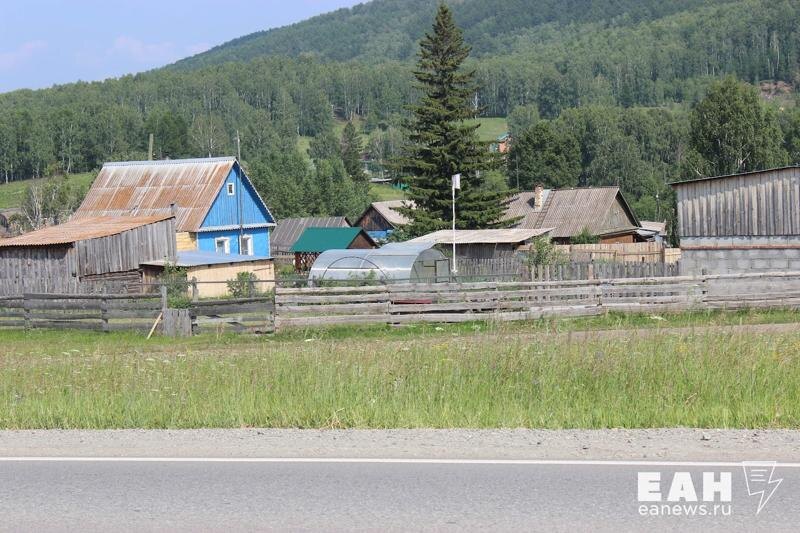    Деревенские дома и лес