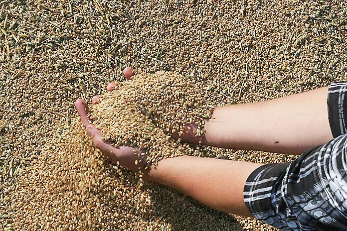    Фото: Михаил Периков