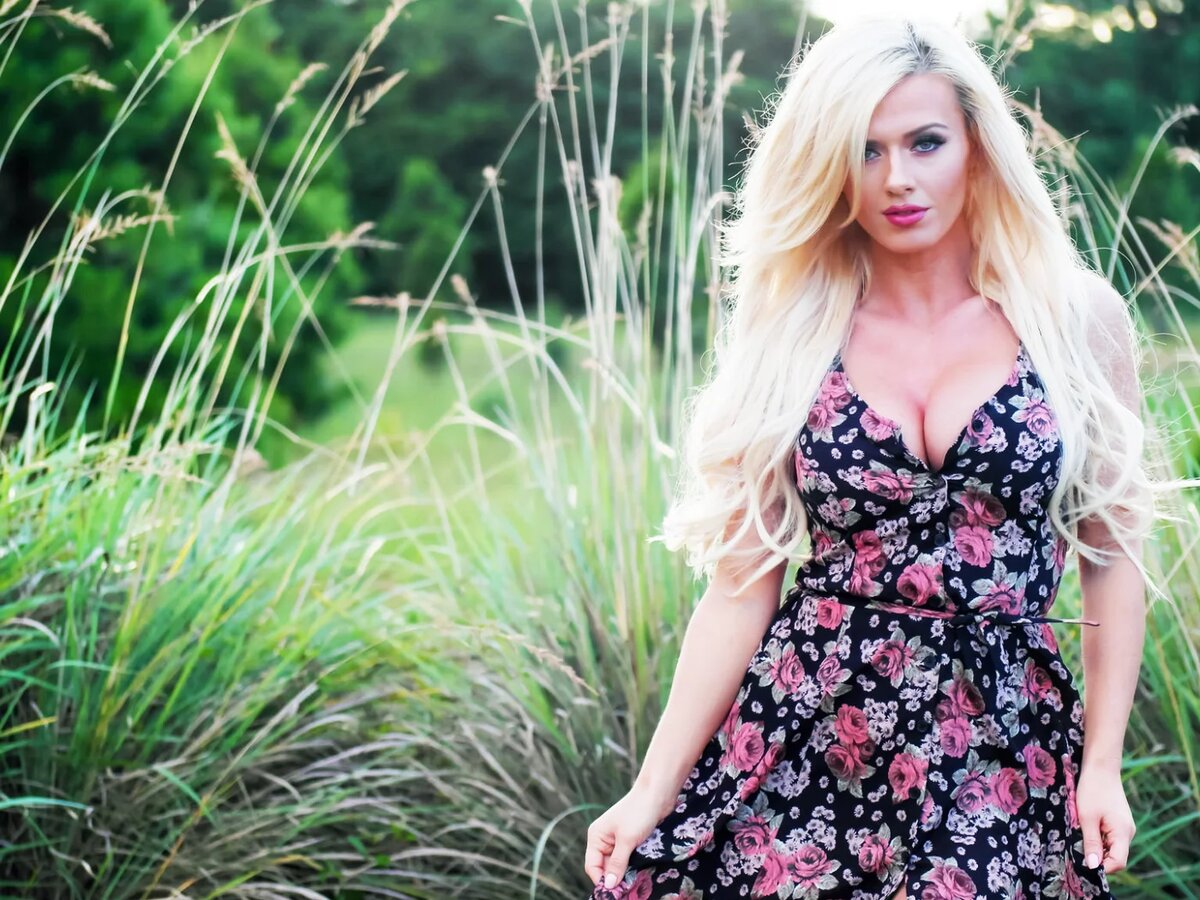 Яндекс.Картинки