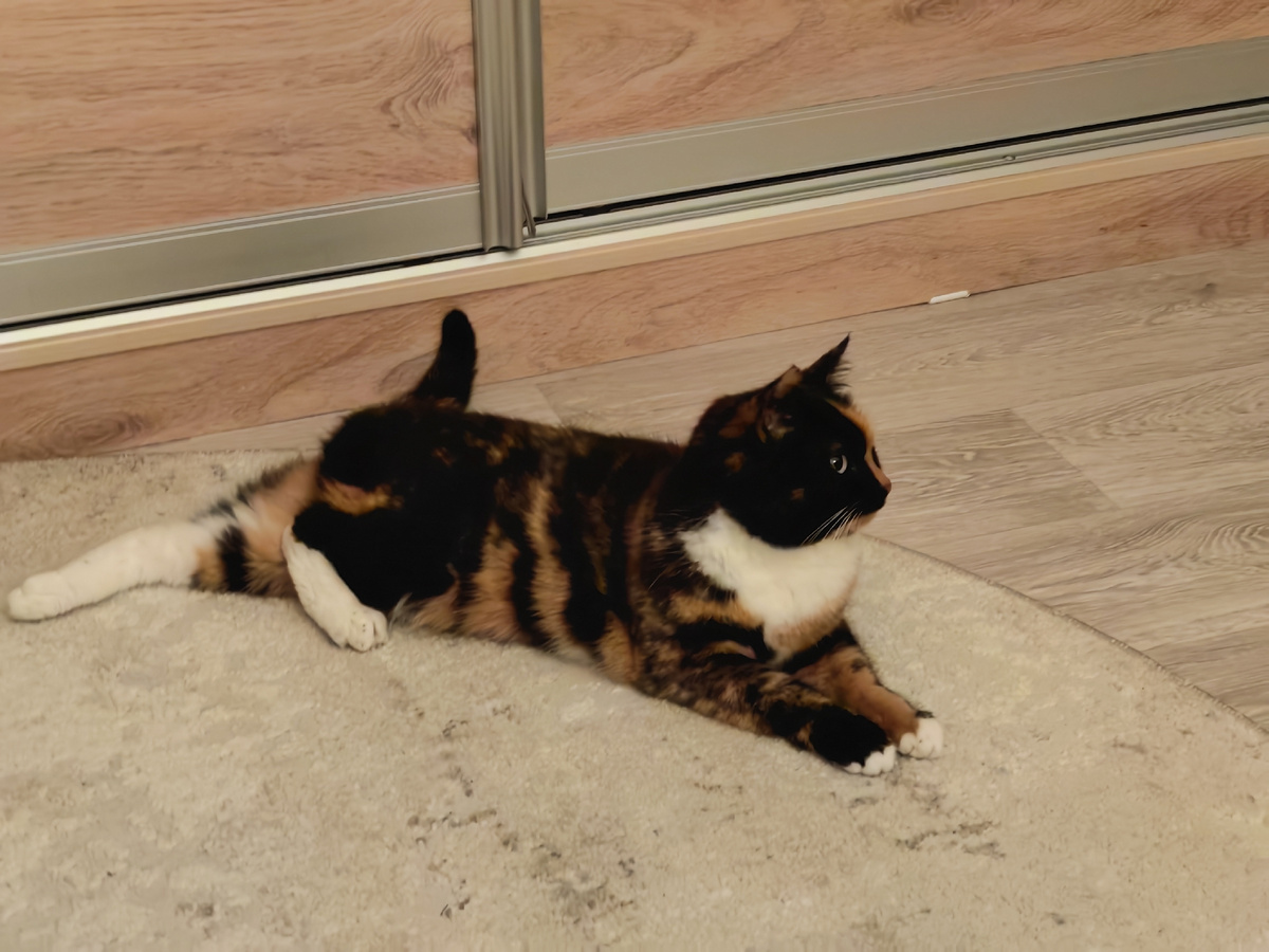 Будьте счастливы!