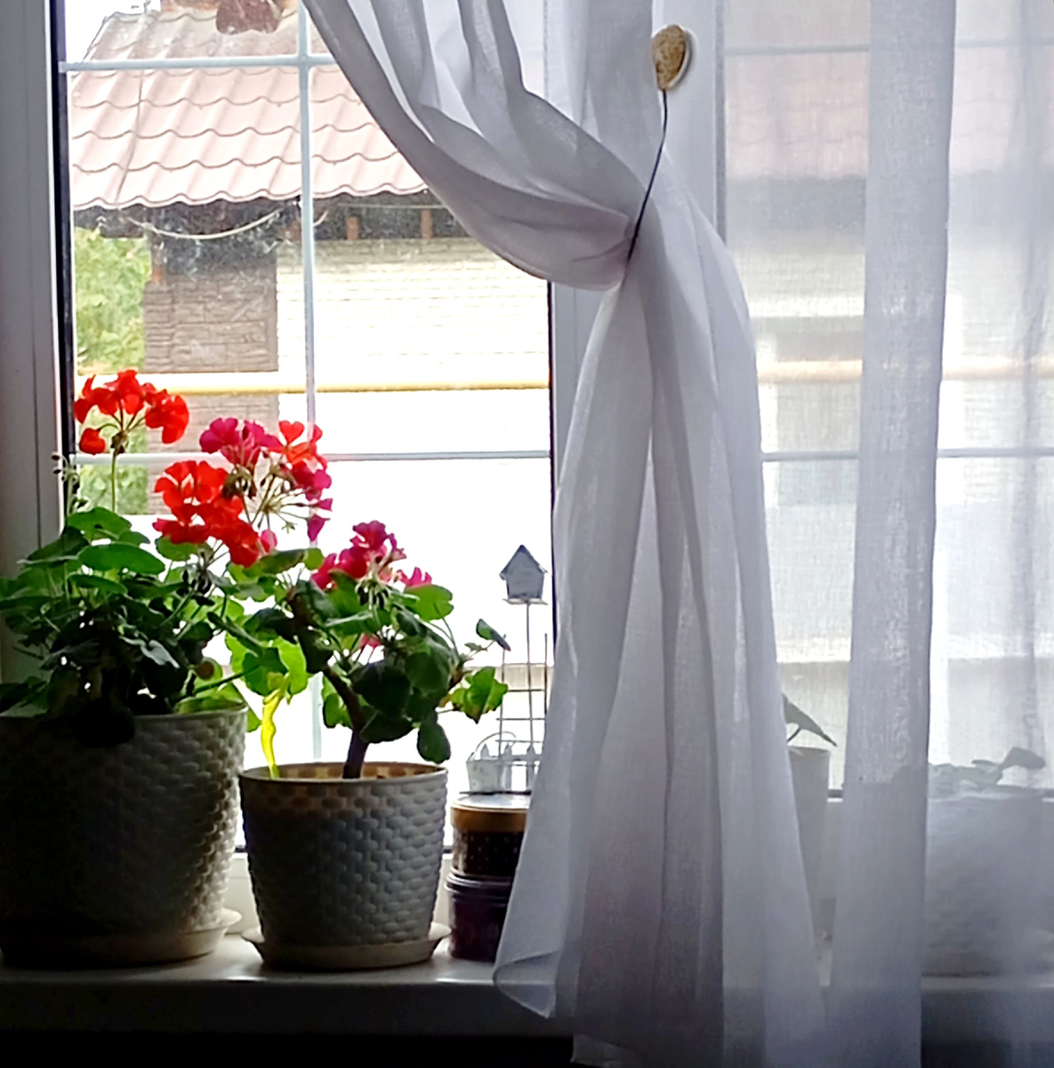 Пасмурно, небольшой дождик прошёл, но очень тепло