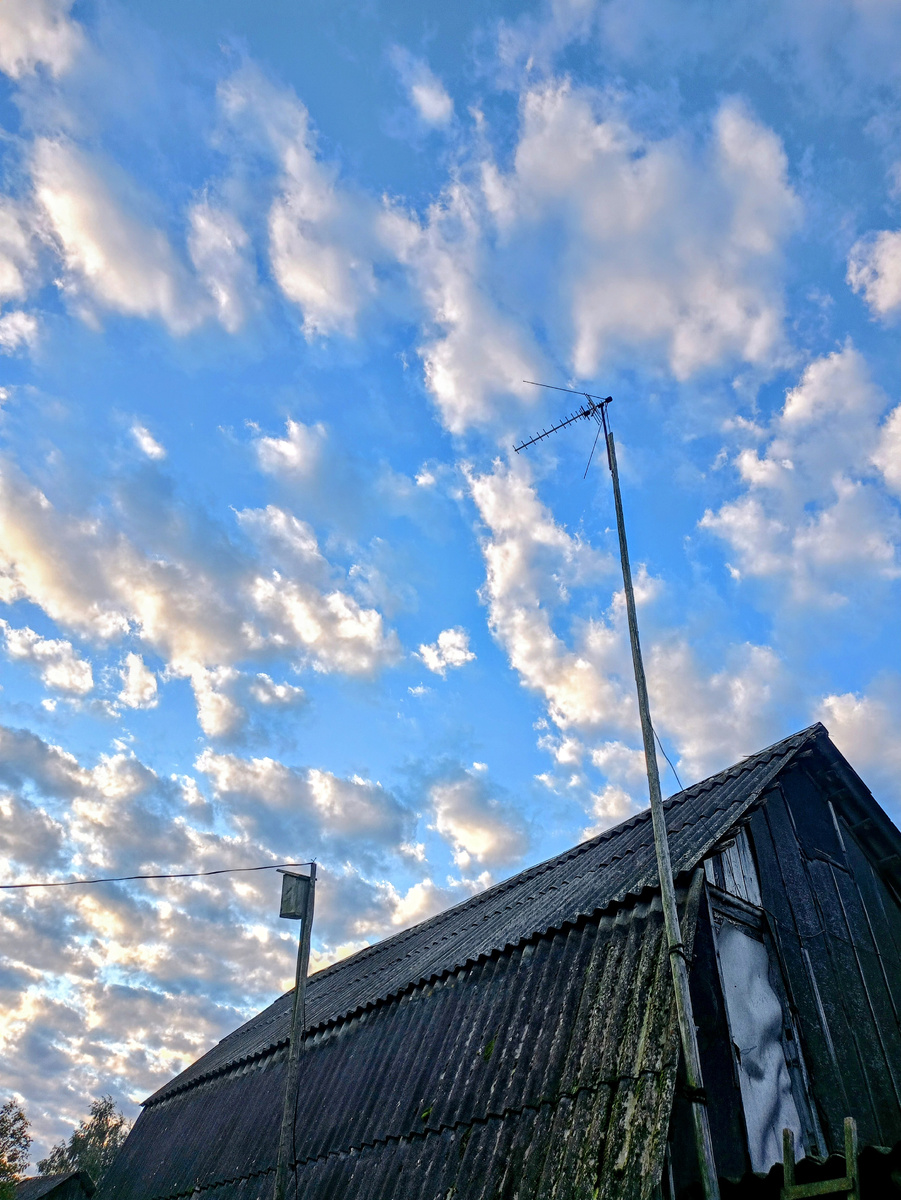 Это крыша нашего сарая, ему 30 лет в этом году.  Такая крыша была задумана для сена. Миша с мужем построили его вдвоём.  Строили после работы, вечерами и даже ночью. 