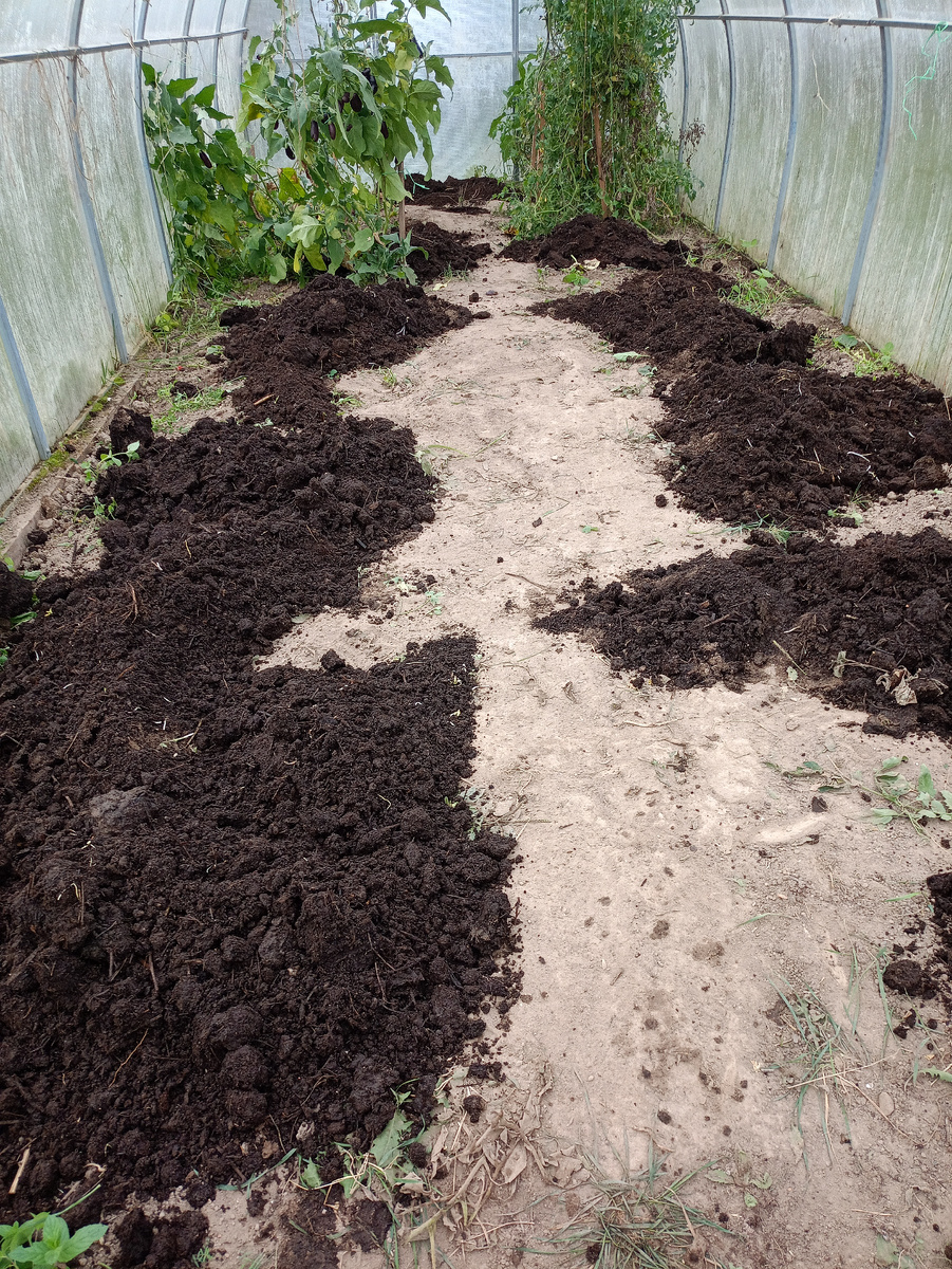 Тепличку готовлю к зиме. Надо убрать остатки урожая и перекопать. 