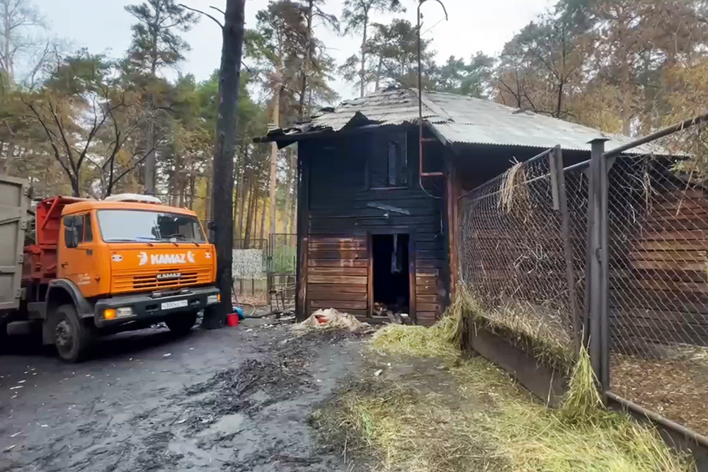    © Прокуратура Новосибирской области