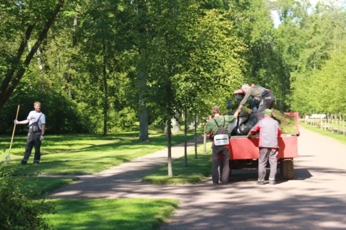    Прокуратура Петербурга оштрафовала подрядчика за халтуру на благоустройстве