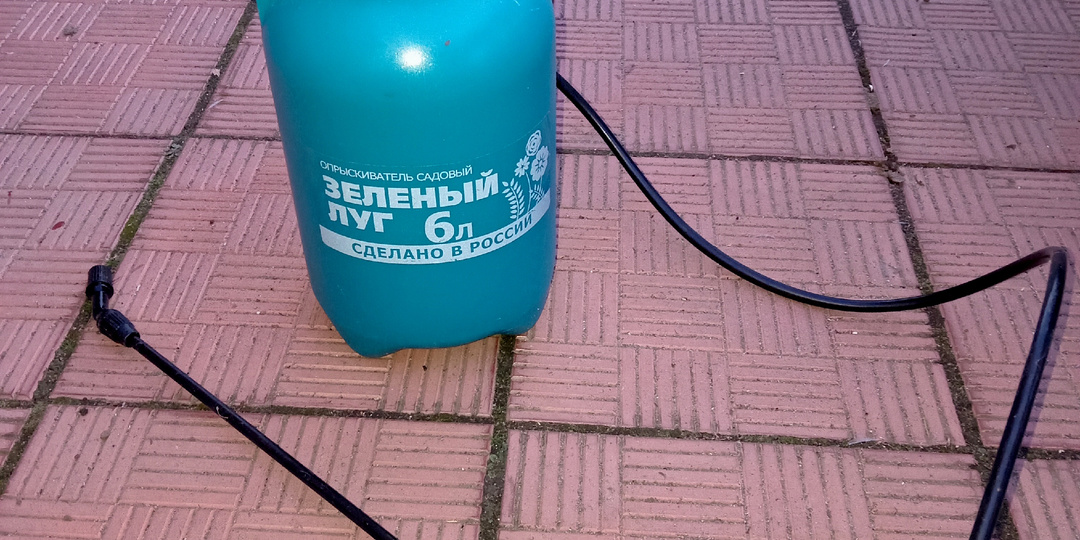 Последние осенние  обработки роз. Почему я против купороса