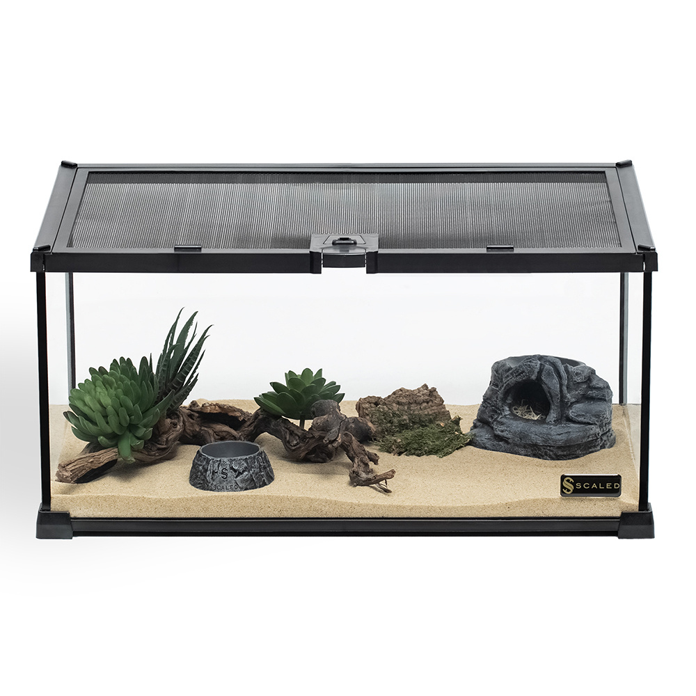 Ваш личный кусочек пустыни: именно так выглядит идеальный дом для сольпуги.