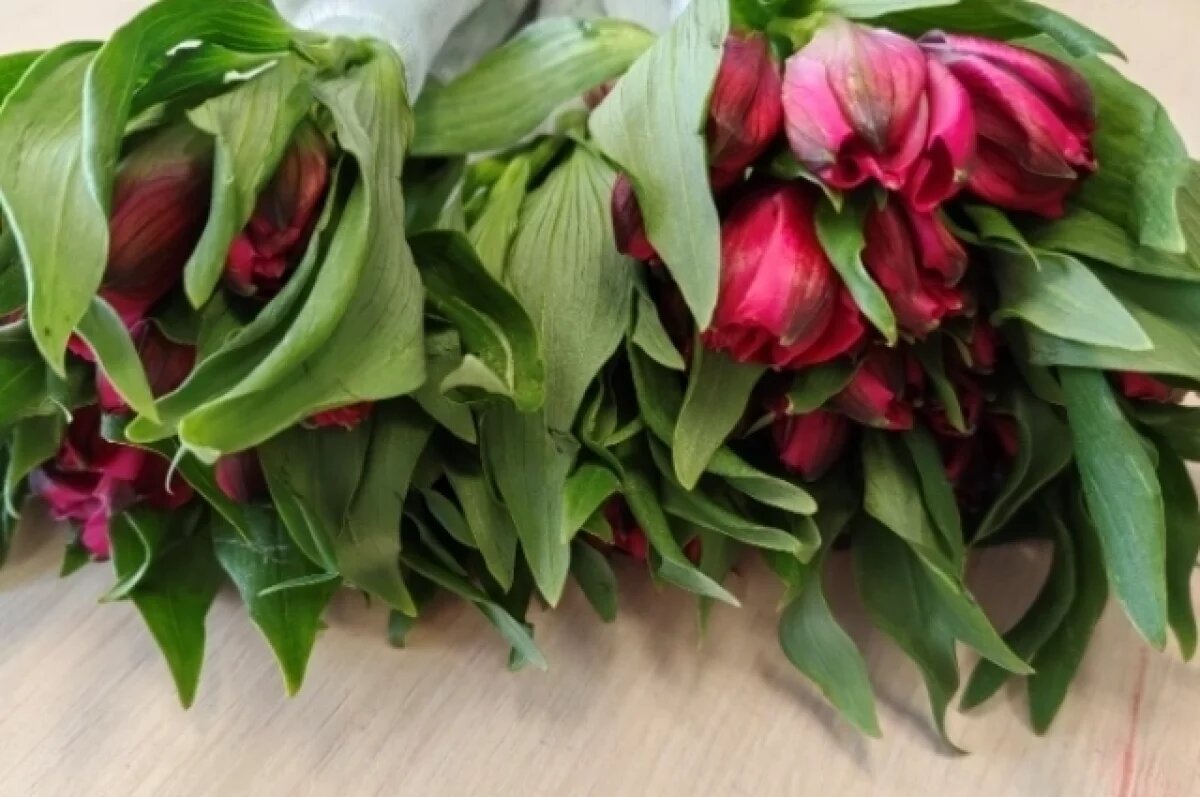    На Урале уничтожили импортные зараженные цветы