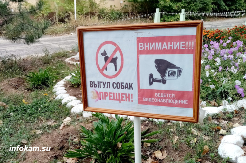    Предупреждающий аншлаг на клумбе перед госучреждением