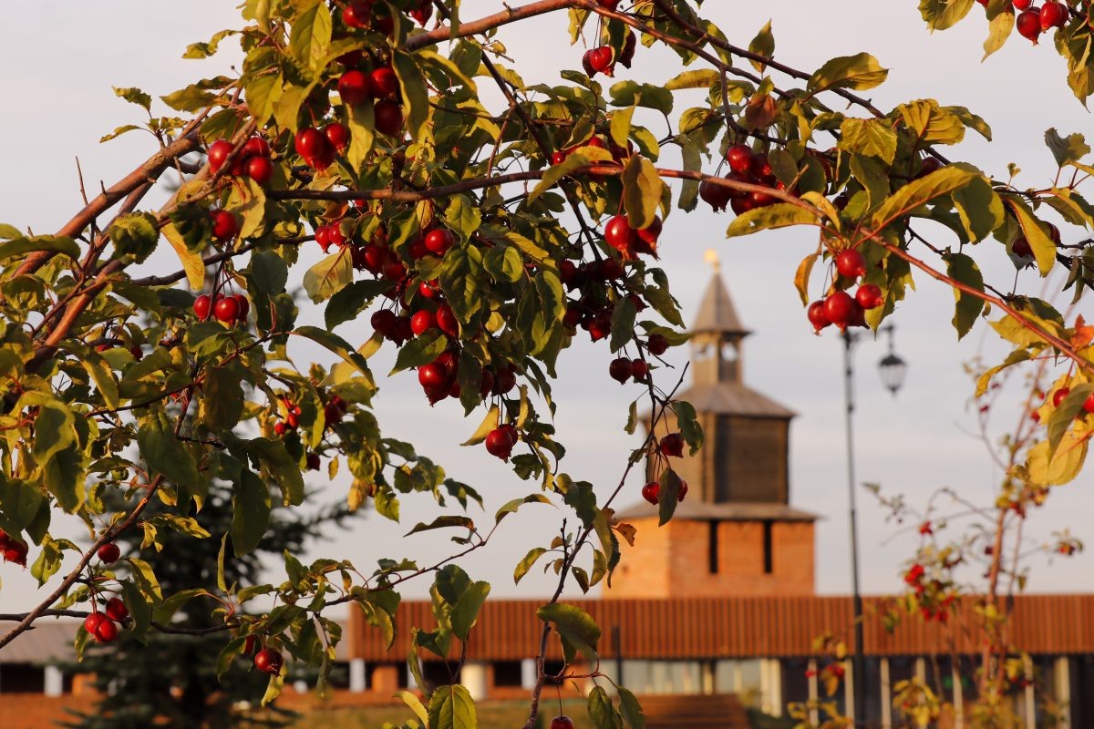    Потепление будет связано со скандинавским антициклоном