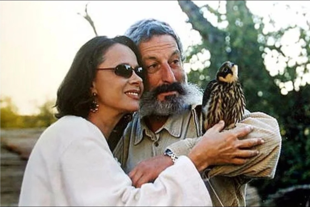 Из открытых источников