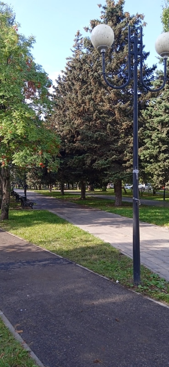 Личное фото