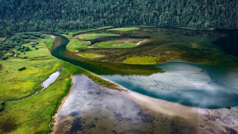     Подводный мир Телецкого озера. Роман Воробьев, Татьяна Воробьева