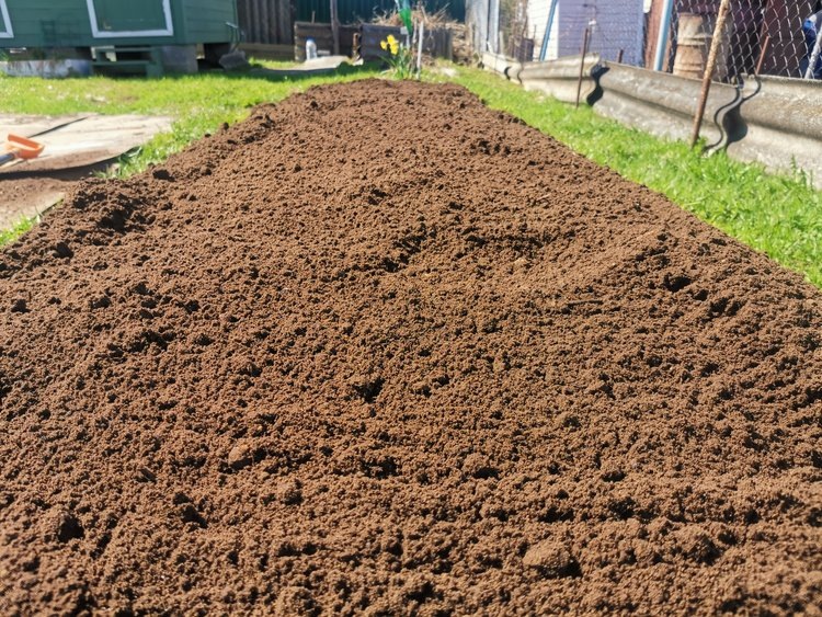    Фото: Лукьянов Дмитрий, AgroXXI.ru