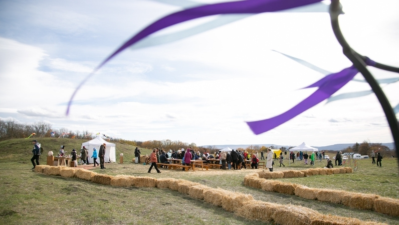    Первый раз фестиваль проводился в 2024 г. Фото: Валерия Алтухова / / ИА «Победа26»