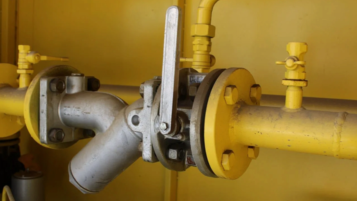    Фото: телеканал «Краснодар»