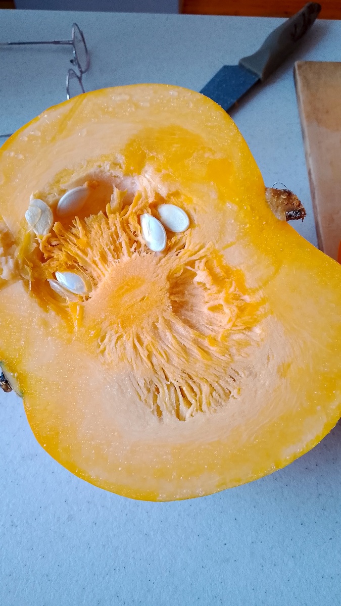 Из этой тыковки буду сок варить