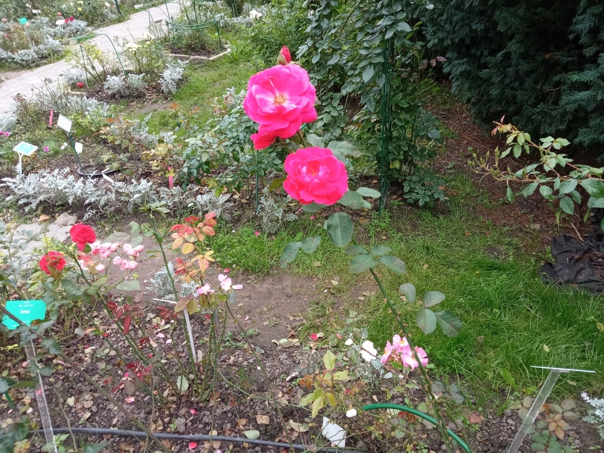 Как прекрасен этот мир. Фото автора.