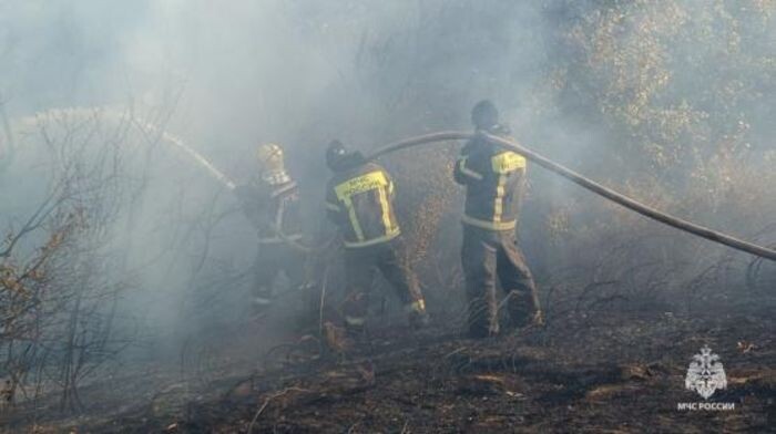 Иллюстрация: ГУ МЧС по РО