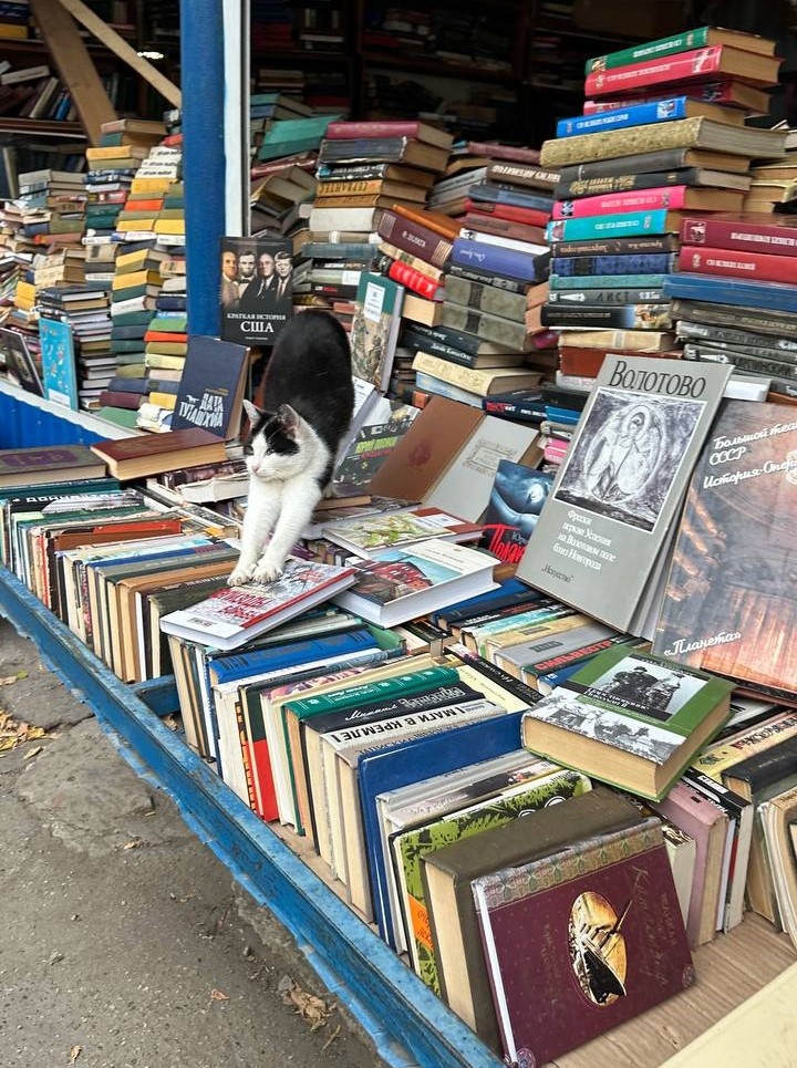 Автор фото: Ирина Нужнова