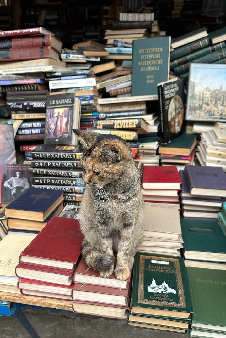 Автор фото: Ирина Нужнова