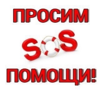 ПОМОГИТЕ НАКОРМИТЬ ХВОСТИКОВ 🐈 В ПРИЮТЕ❗️🙏🏼