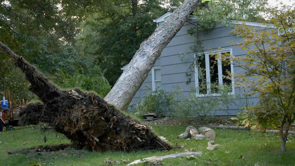 Фото: Getty Images