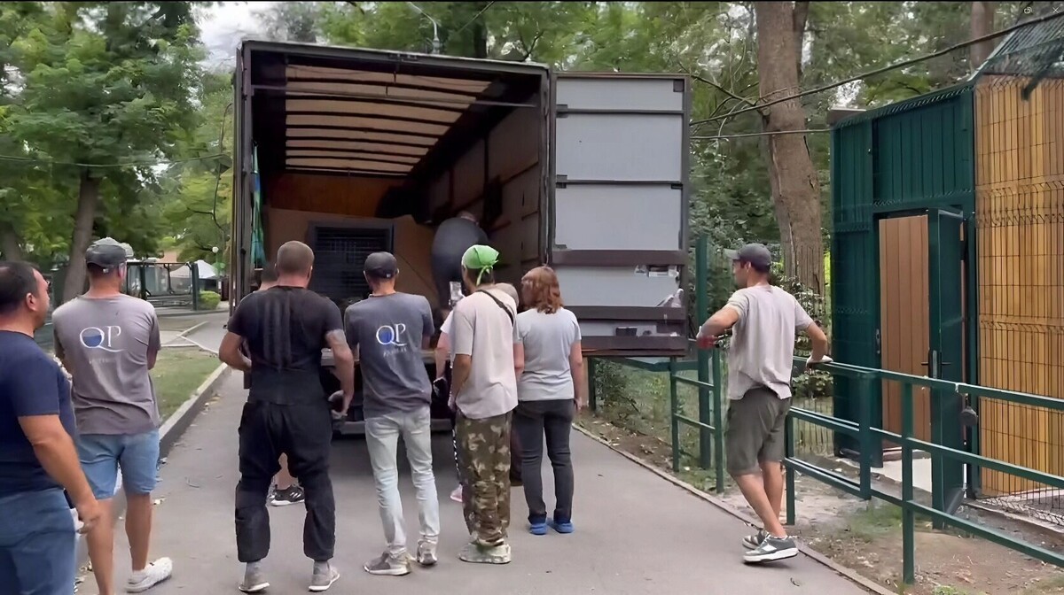     Автор: Ростовский-на-Дону зоопарк