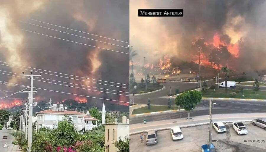 Пожар на юге Турции разросся сильно. фото: картинки яндекс.