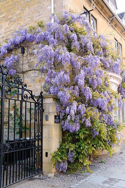 фото с сайта: https://ru.pinterest.com/pin/568860996704195722/