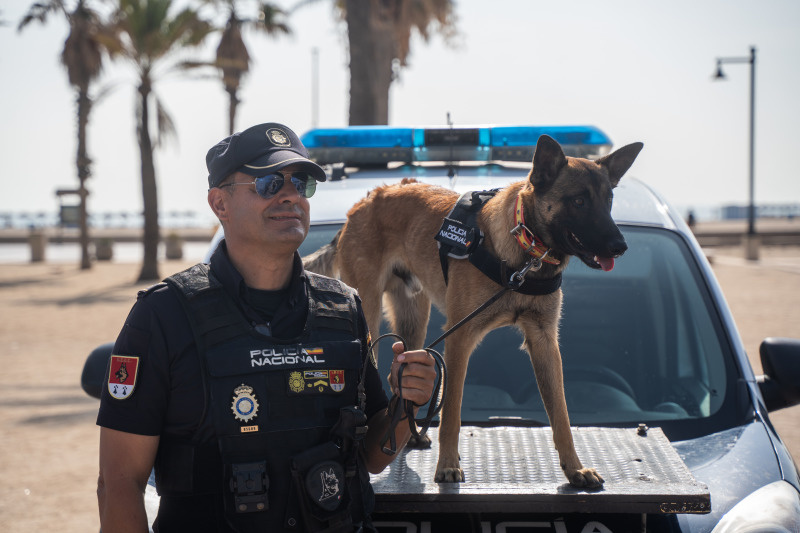    Фото: Jorge Gil/Globallookpress