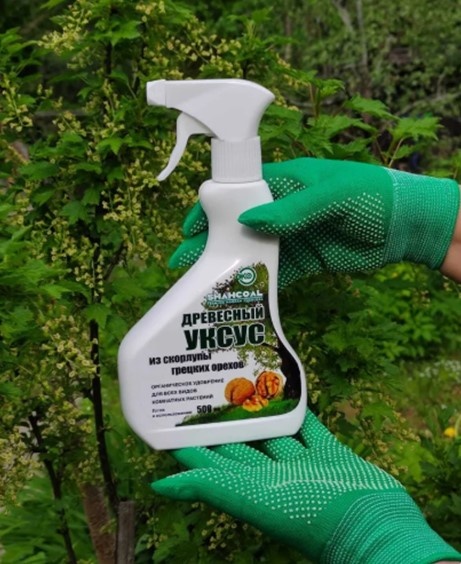 Фото из интернета.