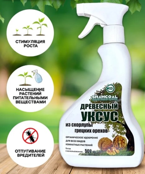 Фото из интернета.