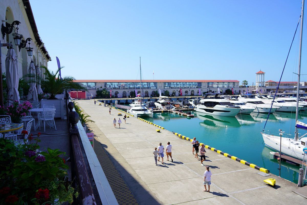 Фото: Telegram/Сочи Официальный  📷
