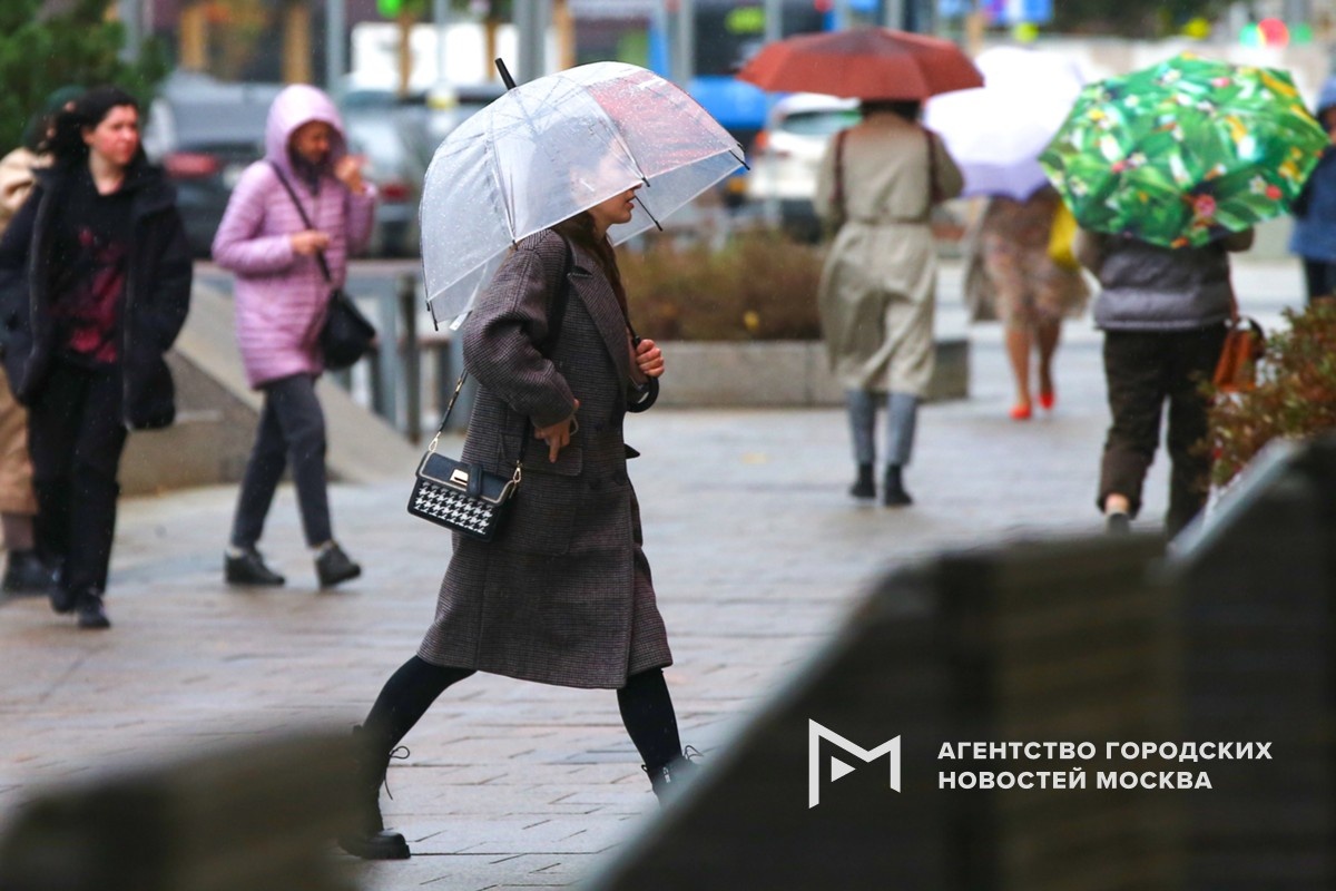 Фотограф: Сергей Ведяшкин