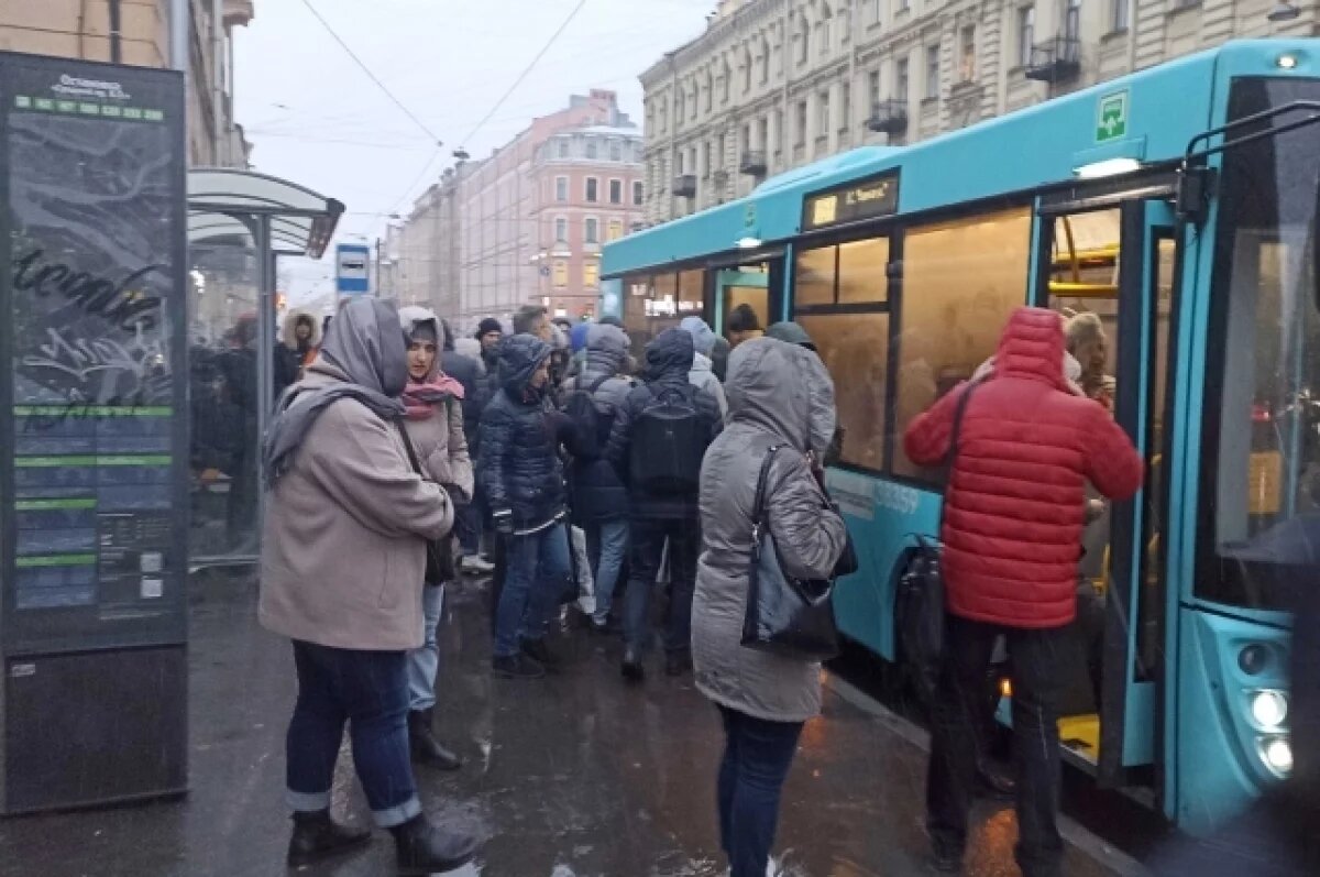    Петербуржцы выбрали новый дизайн плакатов на остановках